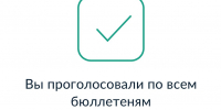 Более 140 тысяч южноуральцев проголосуют 12-14 сентября дистанционно - Газета Маяк