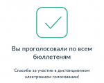 Более 140 тысяч южноуральцев проголосуют 12-14 сентября дистанционно