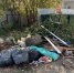 3000 рублей за траву на контейнерных площадках! Штраф вступил в силу - Газета Маяк
