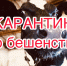 Объявлен карантин! У быка в поселке Дубровке подтвердилось бешенство - Газета Маяк